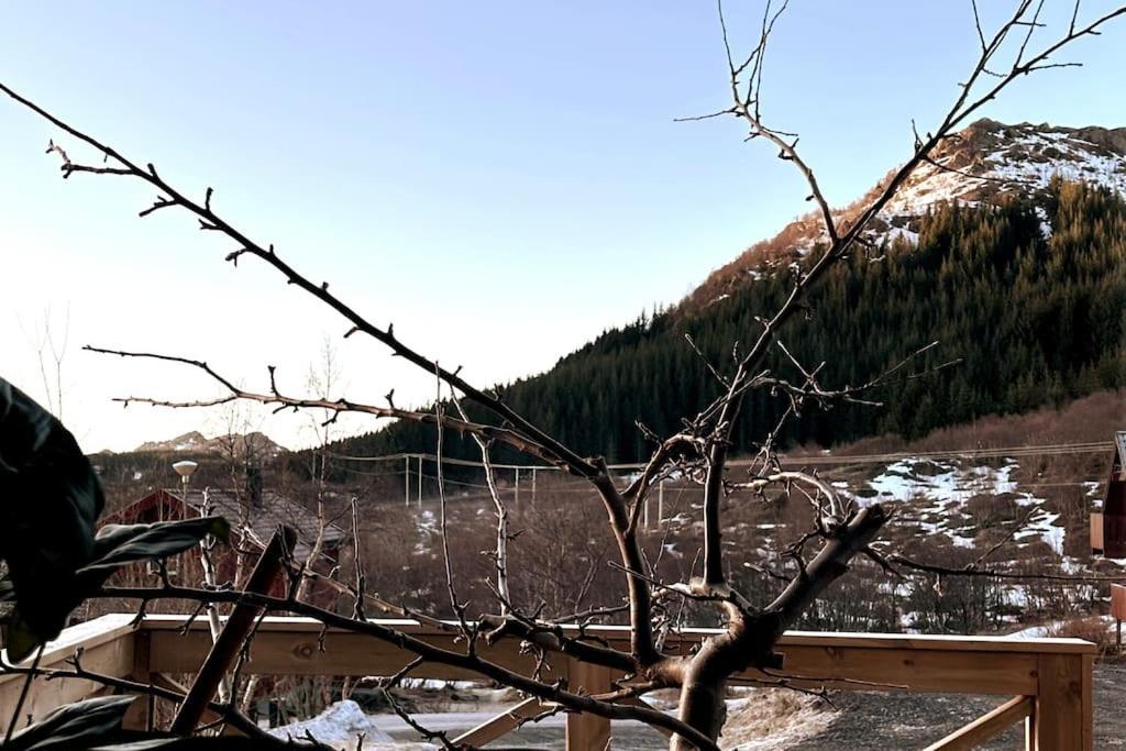 Ett Roms Leilighet Vestvagoy Gravdal  エクステリア 写真